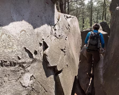 043_4V1A1009 Côté entrée...