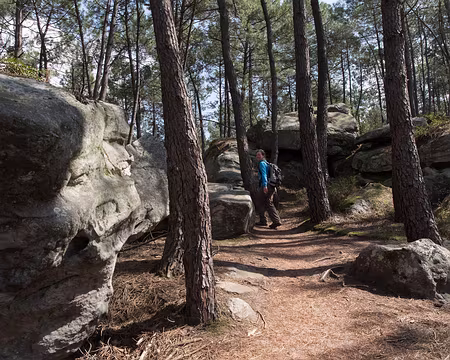 047_4V1A1021 Rocher des Gros Sablons