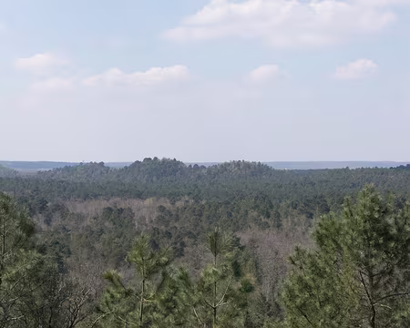 063_4V1A1122 Vue sur les Trois Pignons : le Rocher du Guetteur, le Rocher de Jean des Vignes, et le Rocher de la Souris