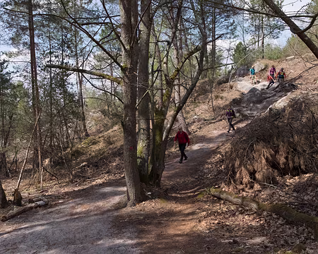 065_4V1A1128 Chemin du Rocher aux Potets