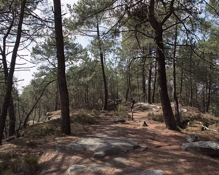 066_4V1A1130 Rocher de la Tortue