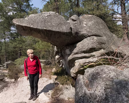 068_4V1A1135 Rocher de la Tortue