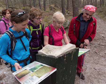 076_4V1A1180 Chemin de la Cathédrale