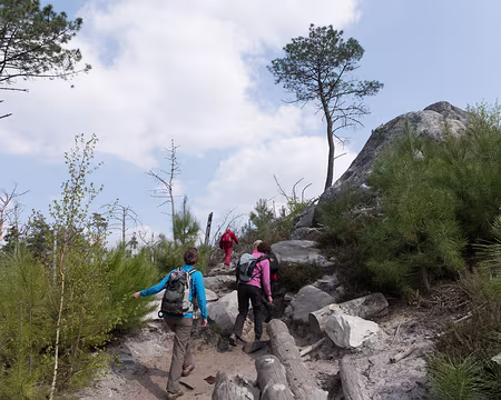 077_4V1A1189 Rocher J. A. Martin