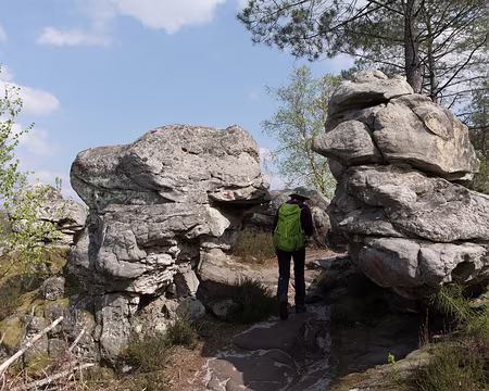 081_4V1A1202 Rocher Cailleau