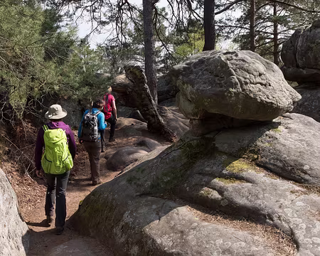 082_4V1A1209 Rocher Cailleau