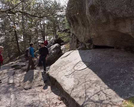 084_4V1A1212 Rocher Cailleau