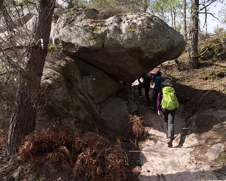 085_4V1A1220 Rocher J. A. Martin