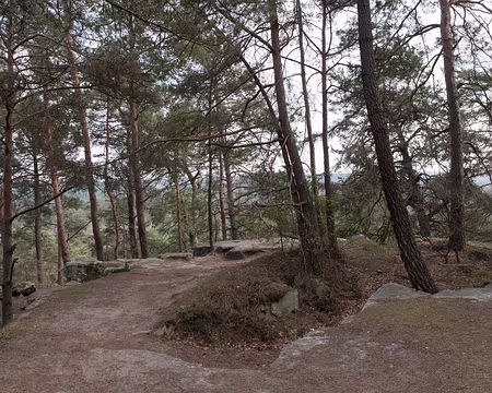 094_4V1A1293 La Justice de Noisy, dernière bosse !