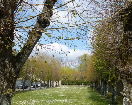 P1100352 Place des tilleuls, Le Coudray-Montceaux