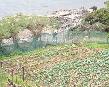 DSC07253 Potager de l'auberge Waves on the rocks