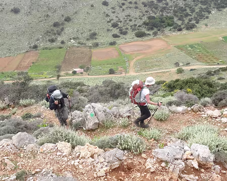 DSC07262 Sentier muletier direction SE jusqu'au col (540m)
