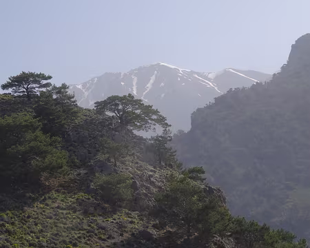 DSC07369 Vue sur les montagnes blanches, du Cap Tripiti