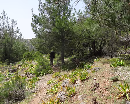 DSC07387 Chemin cotier jusqu'a Sougia