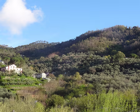 DSC07024 Hauteurs de Levanto