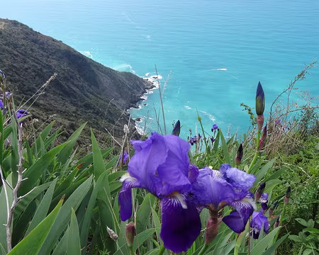 DSC07059 En direction de Portovenere