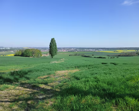 P1100460 Au fond, Trilport