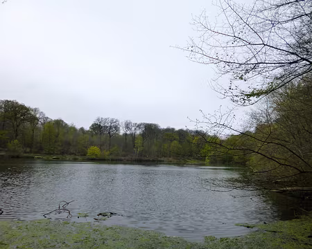 P1100314 Etang de Villebon