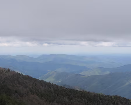 IMG_4703 au fond à droite le Pic St Loup
