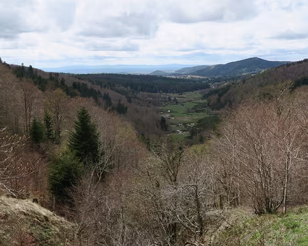 IMG_4708 La Vallée du Bonheur, en descendant vers l’Espérou