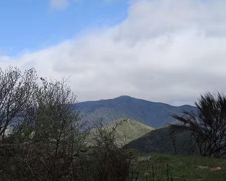 IMG_4719 Jour 4 : Le Mont Aigoual vu du col d’Elze au-dessus de Valleraugue