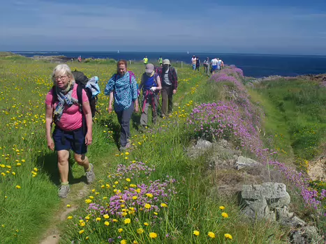 Olivier Olivier M, détail sortie