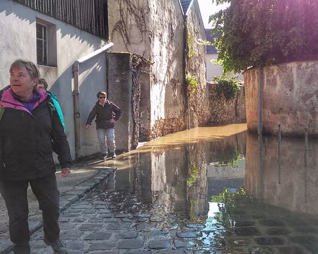 003 On devait passer par ici