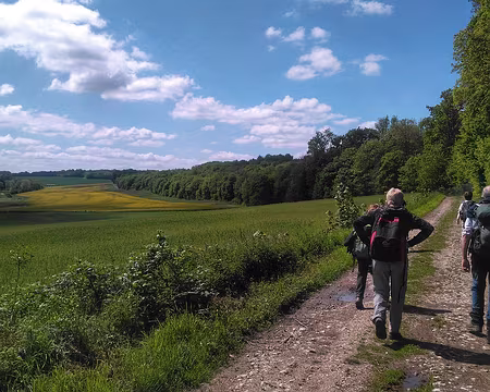 008 Les coteaux du Grand Morin