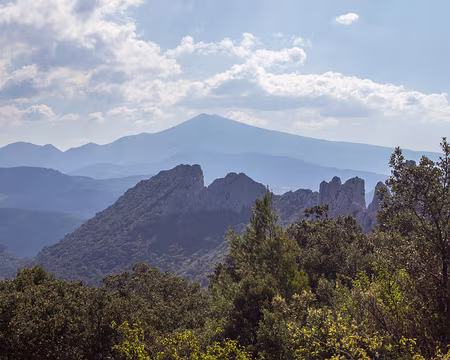 071-IMG_2915 Au loin, le Mont Ventoux