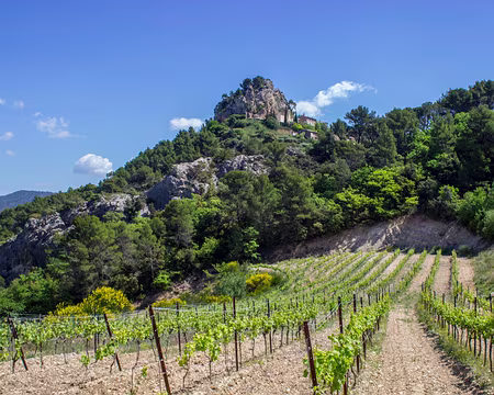 087-IMG_2940 La Roque Alric