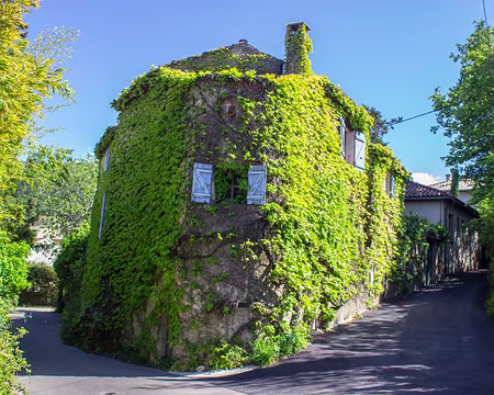 101-IMG_2964 Retour à Malaucène