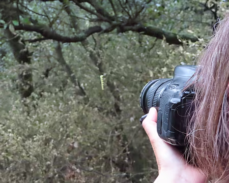 IMG_5900 La star est photographiée