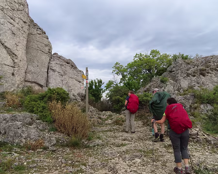 IMG_5904 Falaises ou dentelles ?
