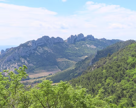 IMG_5925 Une autre chaine de Dentelles nous attend...