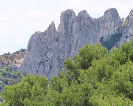 IMG_5934 Ce sont les 