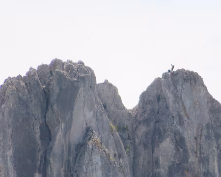 IMG_5937 Grimpeur au sommet...