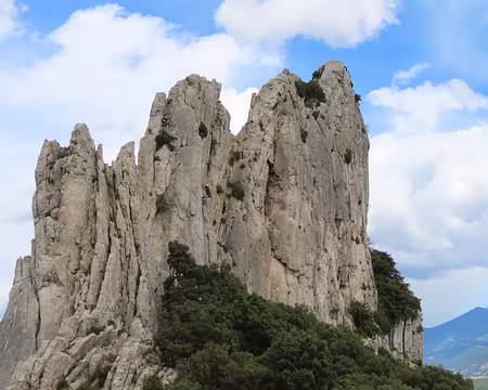 IMG_5956 Grimpeur sur la paroi...