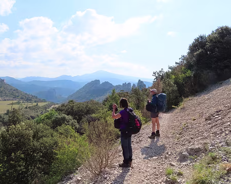 IMG_5991 ça vaut le coup d'oeuil