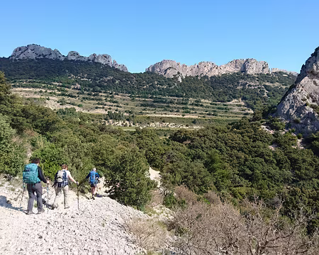 IMG_6000 Le Vallat de L'aiguille est au coeur des Dentelles de Montmirail