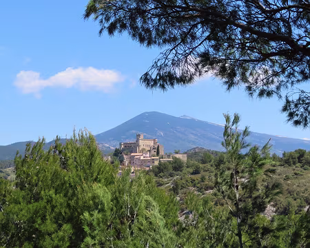 IMG_6024 Le château du Barroux, au fond le Ventoux