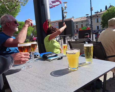 IMG_6050 infusion de houblon