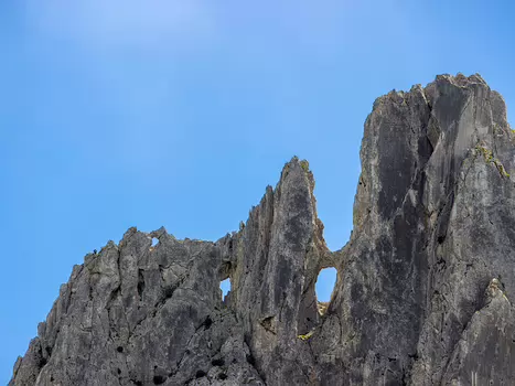 Florence Florence LP, détail sortie