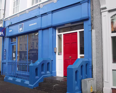 IMG_0149 Camouflage patriotique