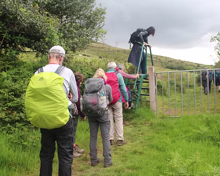 IMG_0178 Notre premier échalier