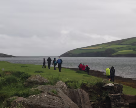 IMG_0248 A la recherche du dauphin Fungi
