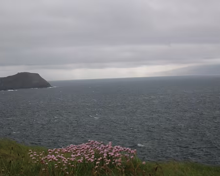 IMG_0260 50 nuances de gris