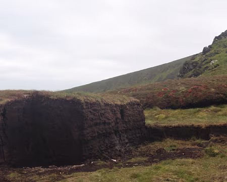 IMG_0342 Exploitation de la tourbe