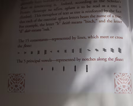 IMG_0356 Ancienne écriture celte : ogham