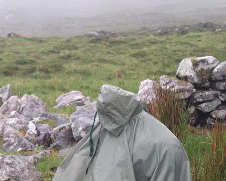 IMG_0455 ... ou on médite ?