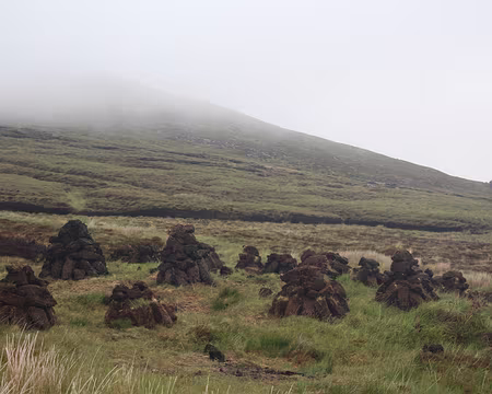 IMG_0457 Séchage de la tourbe